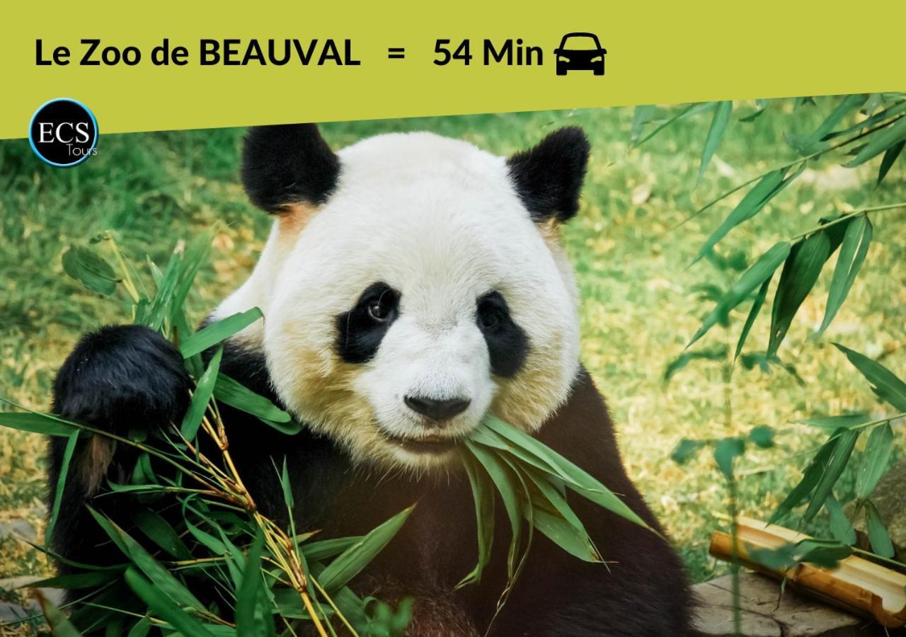 "Le Safari" - 2 Lits - Au Coeur Du Vieux Tours Lejlighed Eksteriør billede